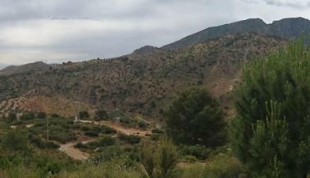 בית הארחה ארדאלס 	La Solana De Turon. El Pino מראה חיצוני תמונה